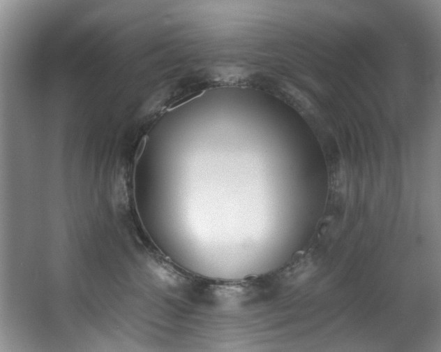 X0000068310572200604241406