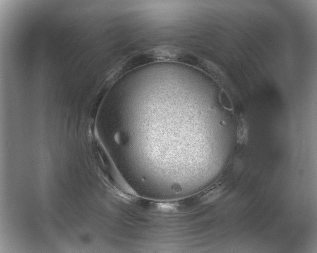 X0000068310573200604241406