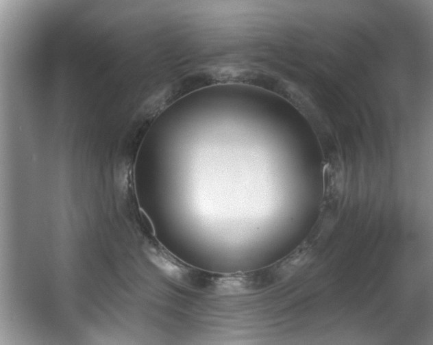 X0000068310574200604241406