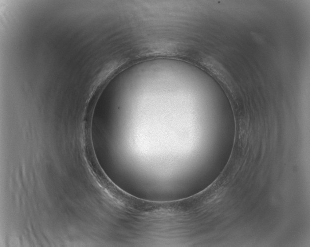 X0000068310578200604241405