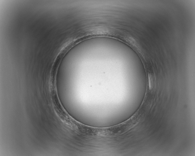 X0000068310579200604241405