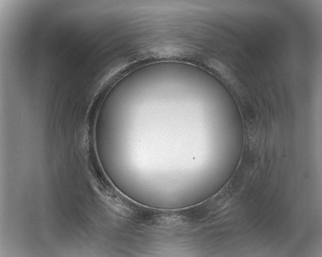 X0000068310583200604241405