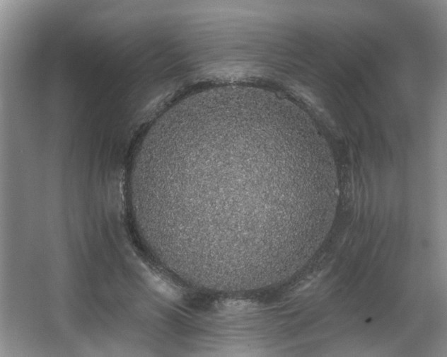 X0000068310590200604241405