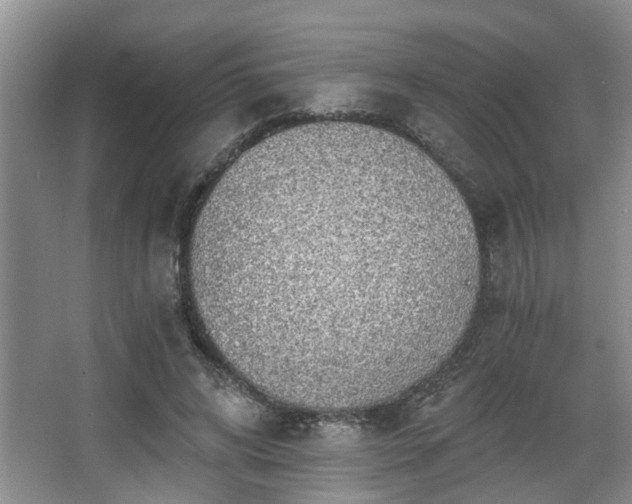 X0000068310592200604241405