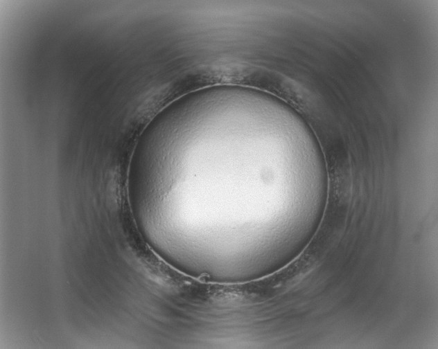 X0000068310594200604241405