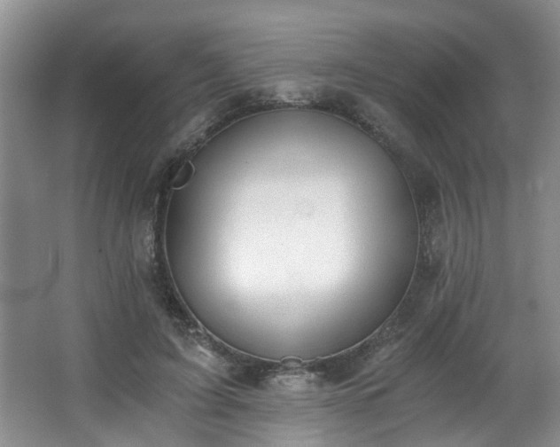 X0000068310595200604241405