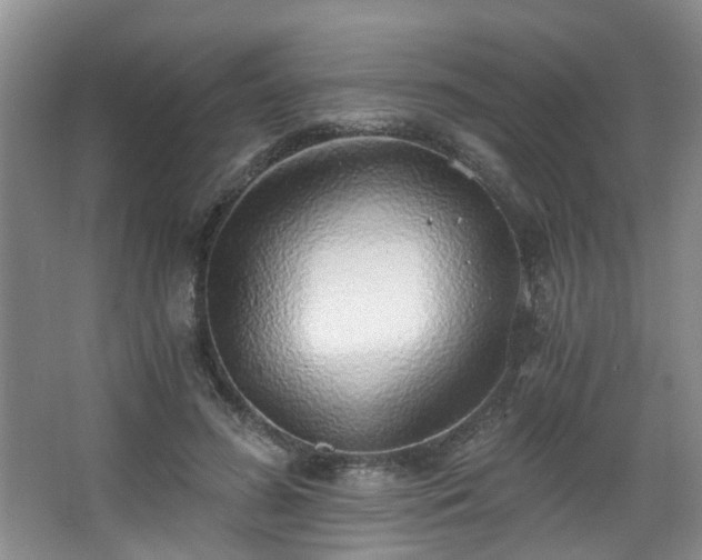 X0000068310596200604241405