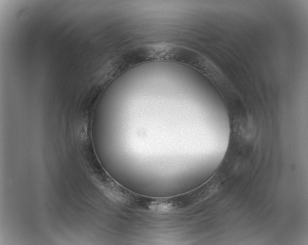 X0000068310602200604241405