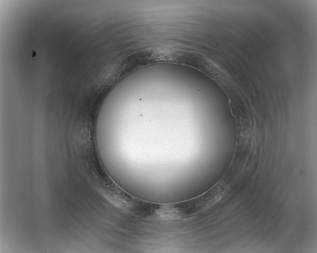 X0000068310603200604241405