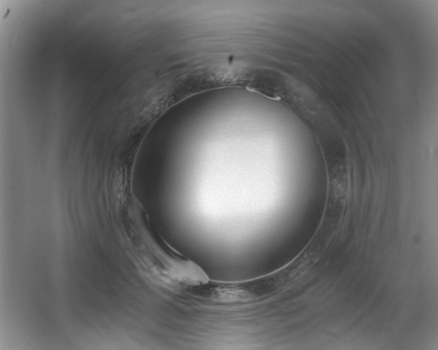 X0000068310605200604241405