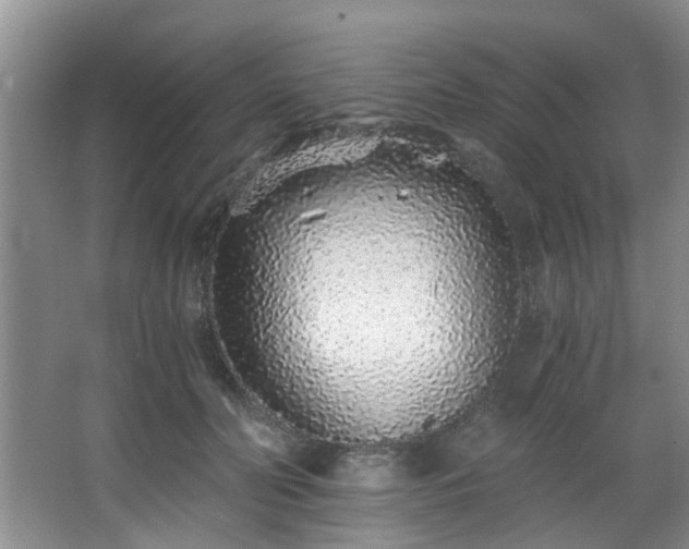 X0000068310606200604241405