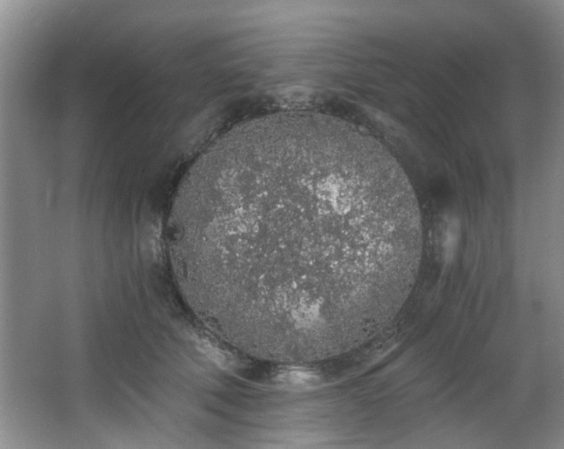 X0000068310610200604241405