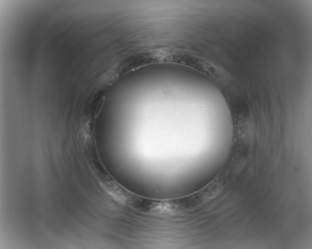 X0000068310611200604241405