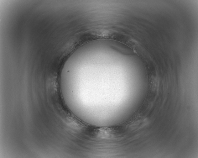 X0000068310612200604241405