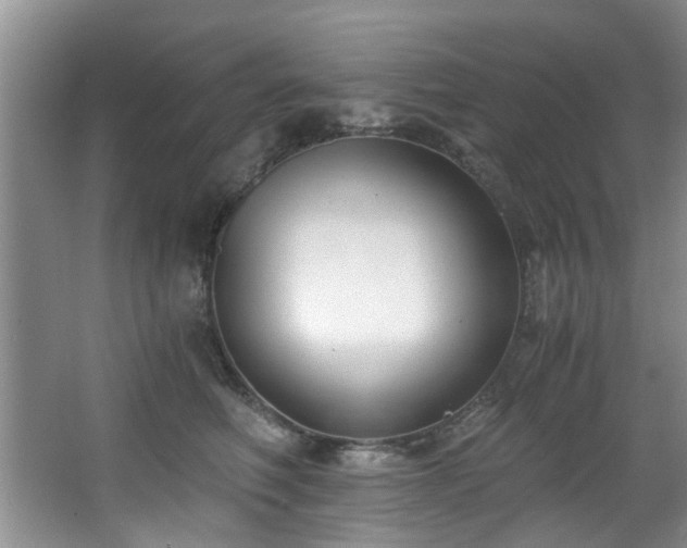 X0000068310614200604241405