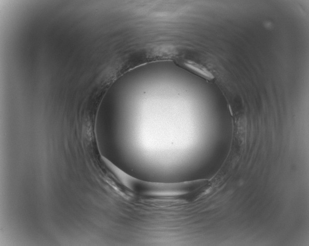 X0000068310617200604241405