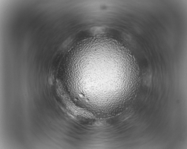 X0000068310618200604241405