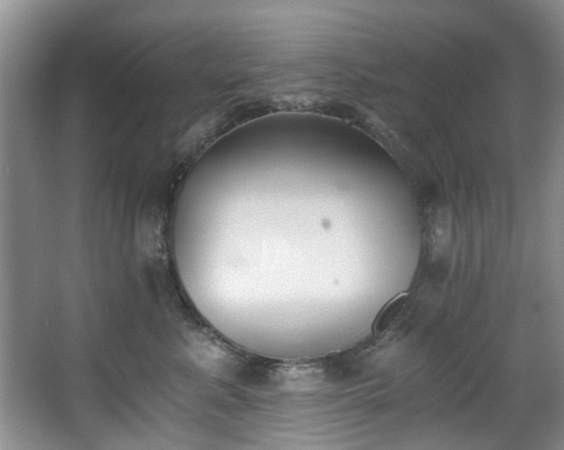 X0000068310619200604241405