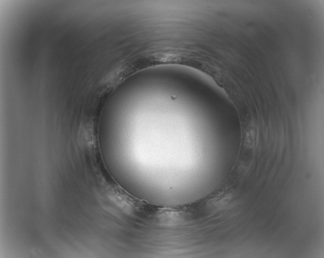 X0000068310620200604241405