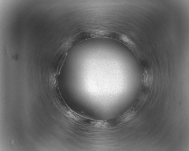 X0000068310621200604241405