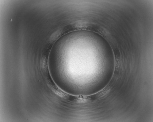 X0000068310623200604241404