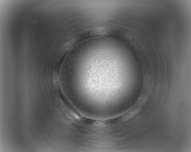 X0000068310624200604241404