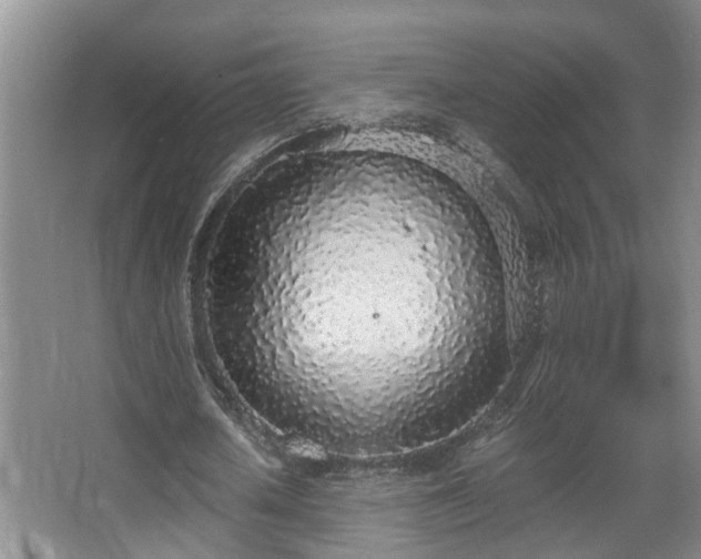 X0000068310626200604241404