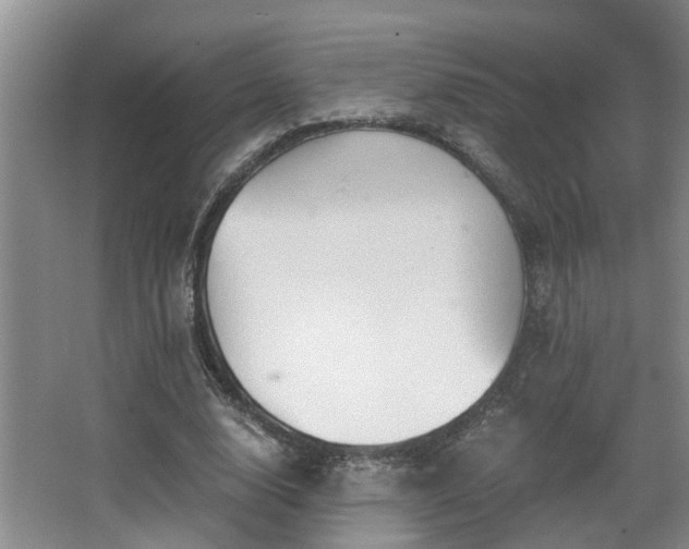 X0000068310632200604241404