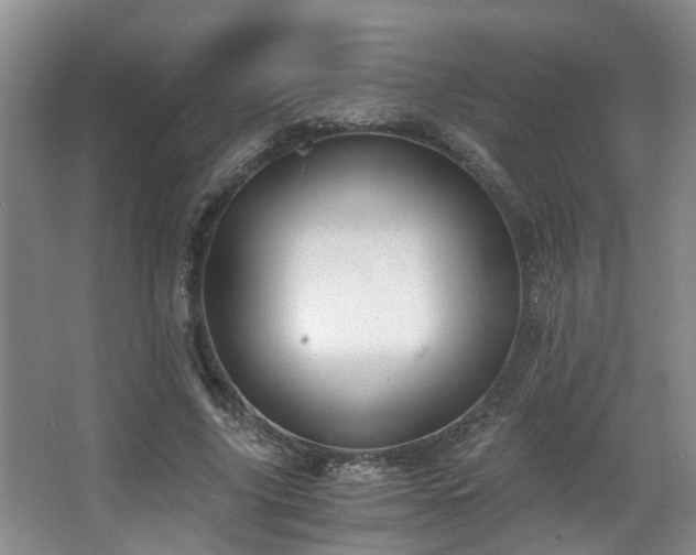 X0000068310635200604241404