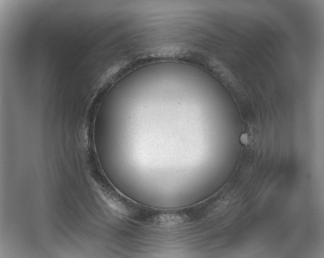 X0000068310636200604241404