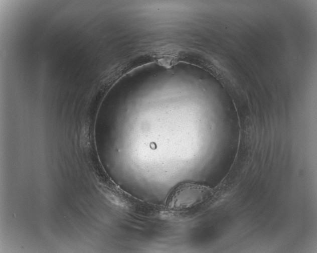 X0000068310641200604241404