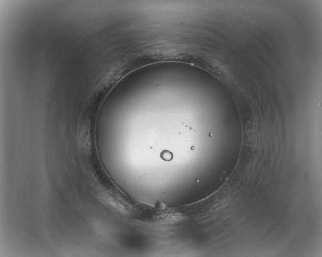 X0000068310642200604241404