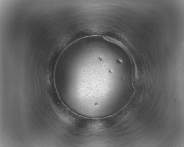 X0000068310643200604241404