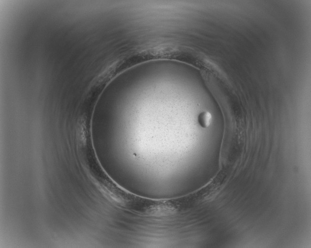 X0000068310644200604241404