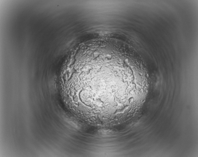 X0000068310650200604241404