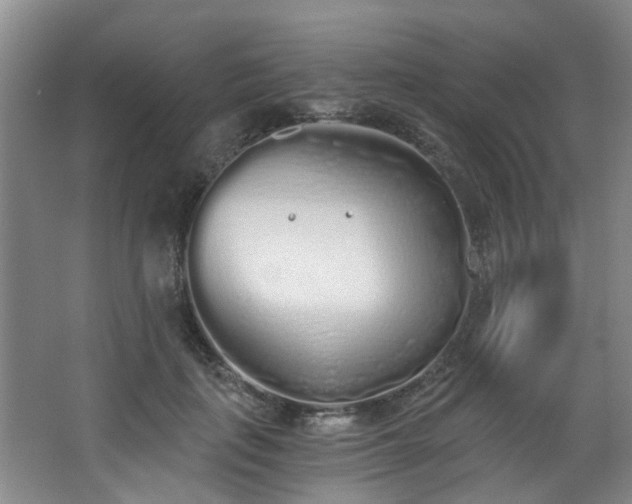 X0000068310651200604241404