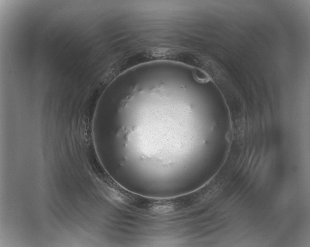 X0000068310653200604241404