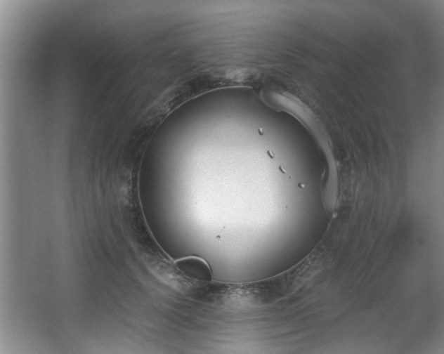 X0000068310656200604241404