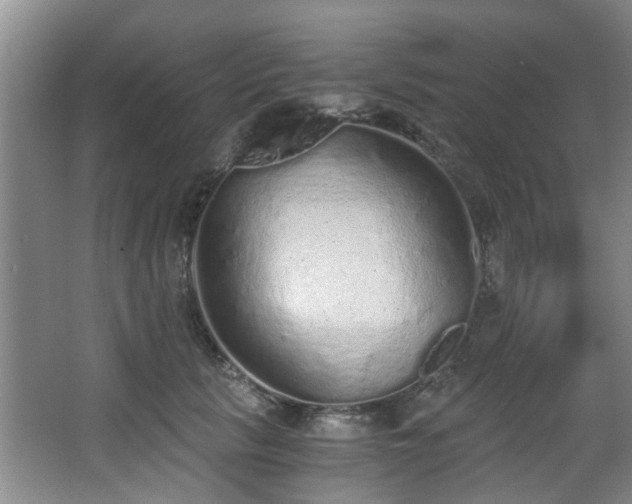 X0000068310657200604241404