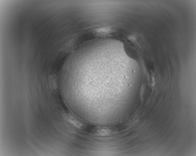 X0000068310658200604241404