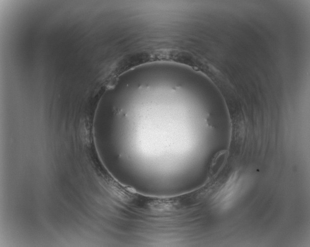 X0000068310661200604241404