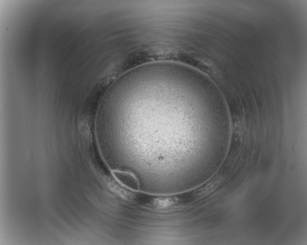 X0000068310662200604241404