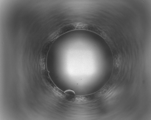 X0000068310666200604241404