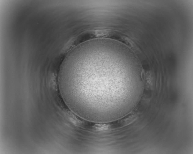 X0000068310667200604241404