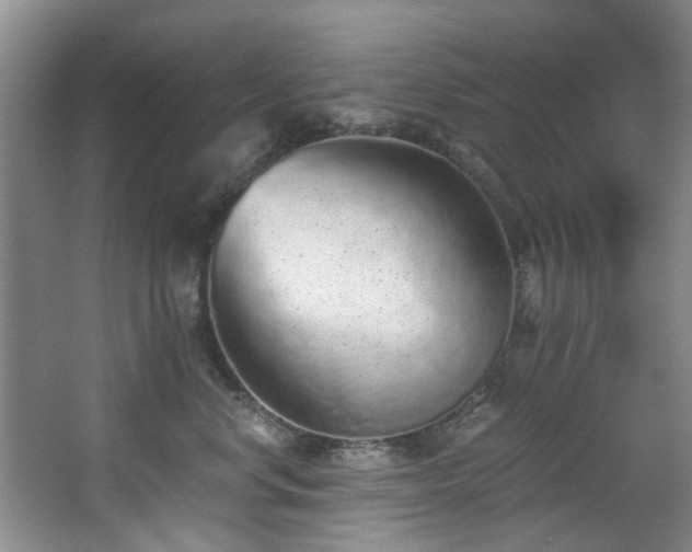 X0000068310668200604241404