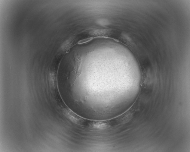 X0000068310669200604241404