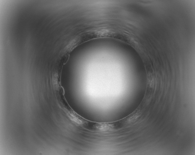 X0000068310670200604241404