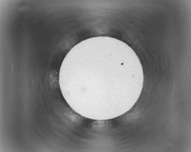 X0000068310672200604241404