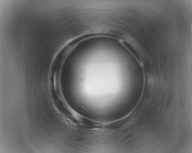 X0000068310676200604241404