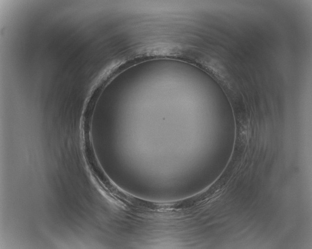 X0000068310678200604241404